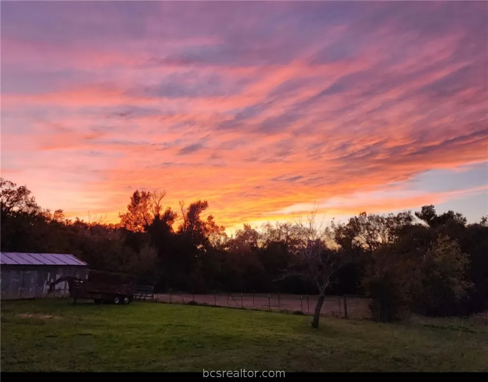 9769 FM 2096 Franklin, TX 77856