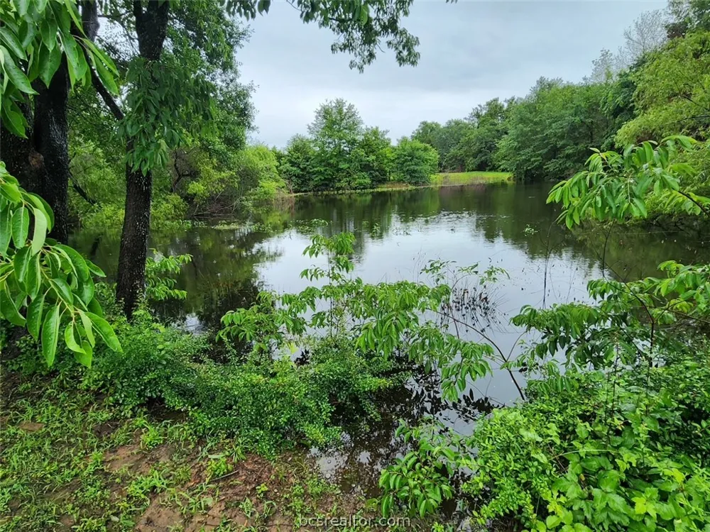 9769 FM 2096 Franklin, TX 77856