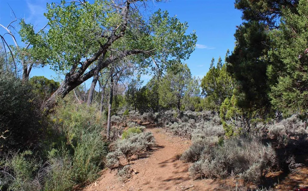 28800 P 25 ROAD Hotchkiss, CO 81419