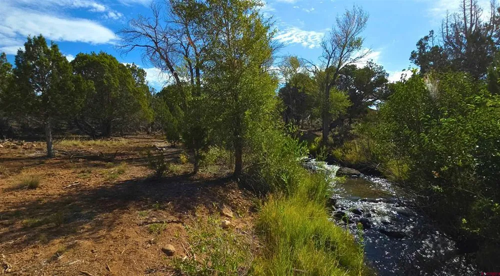 28800 P 25 ROAD Hotchkiss, CO 81419