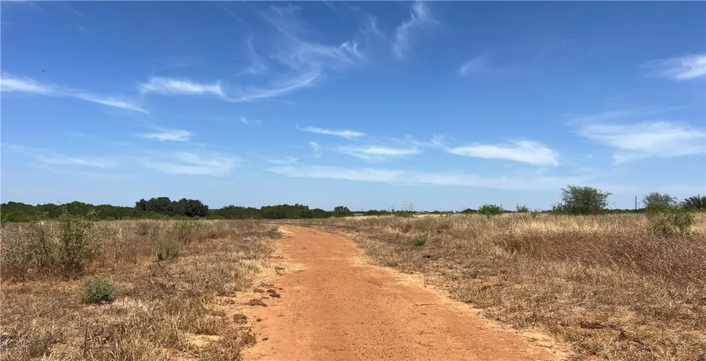 County Road 430 Pleasanton, TX 78064