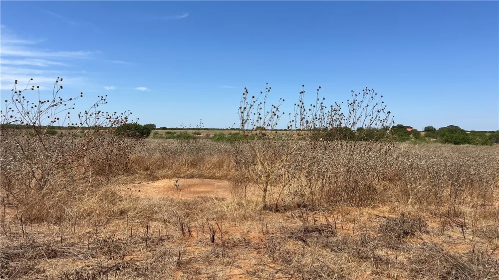 County Road 430 Pleasanton, TX 78064