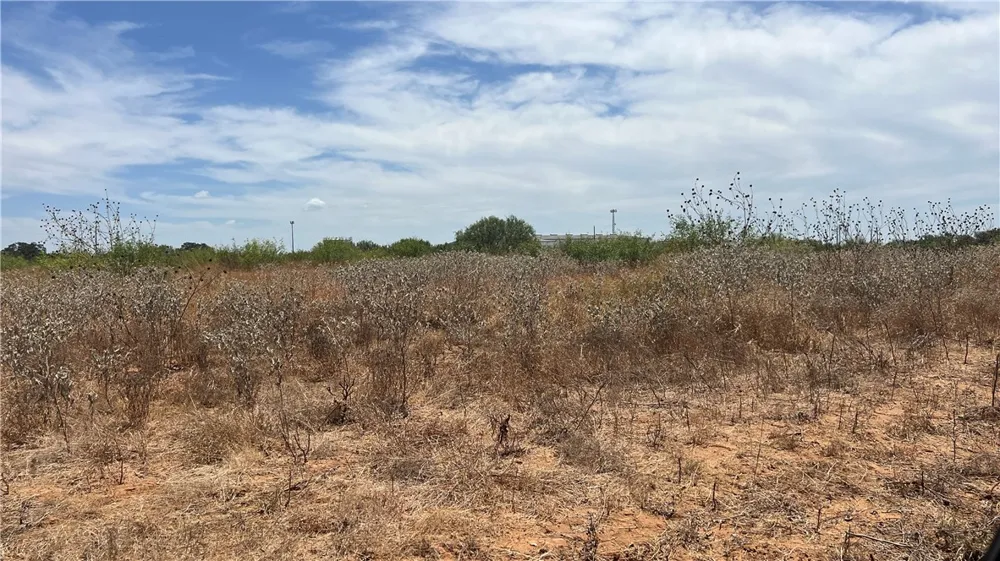 County Road 430 Pleasanton, TX 78064