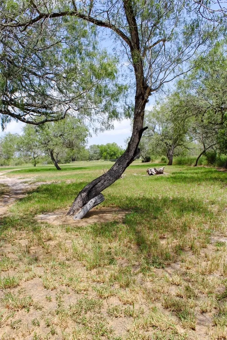 9872 County Road 623 Skidmore, TX 78389