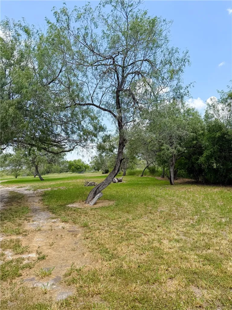 9872 County Road 623 Skidmore, TX 78389