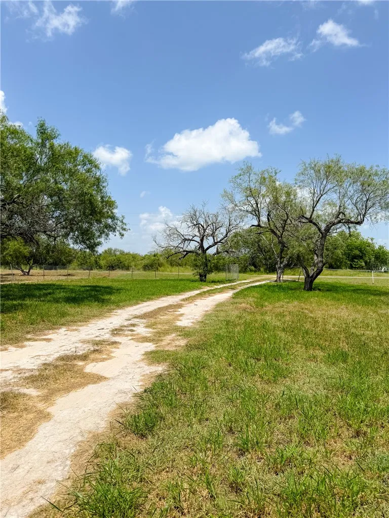 9872 County Road 623 Skidmore, TX 78389