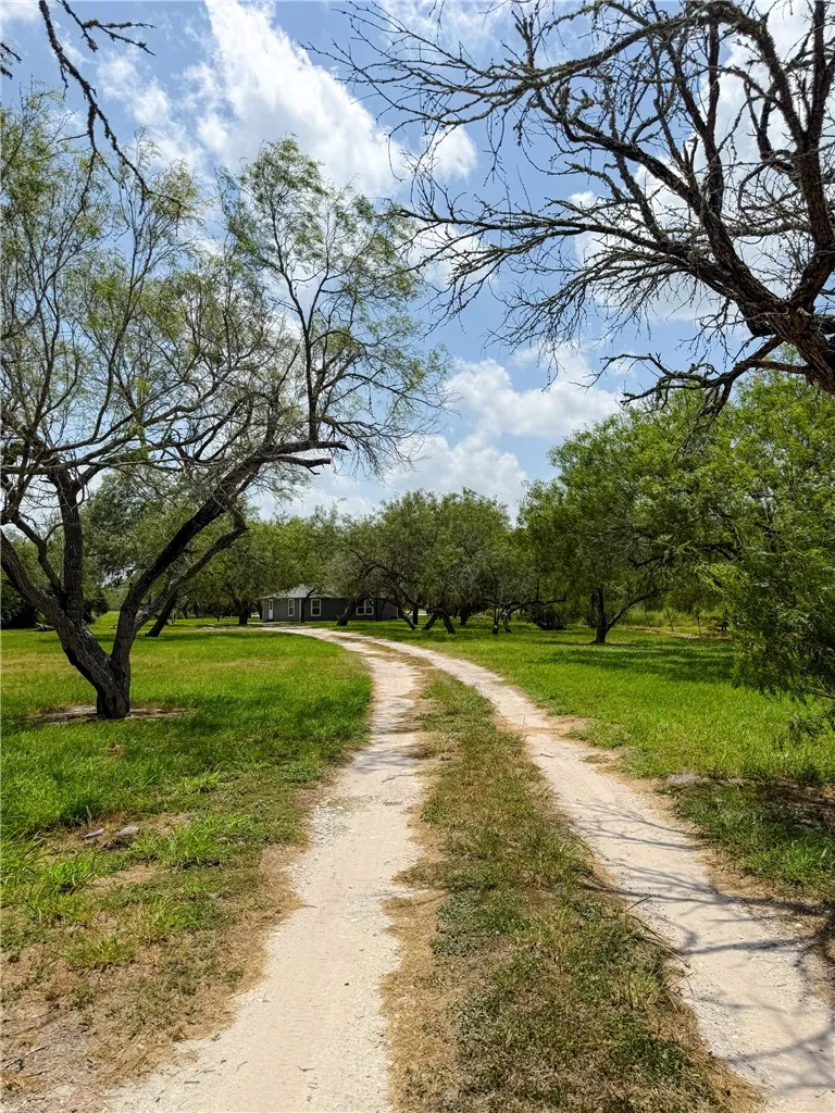 9872 County Road 623 Skidmore, TX 78389