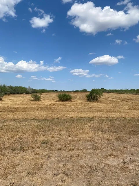 CR 150 Alice, TX 78733