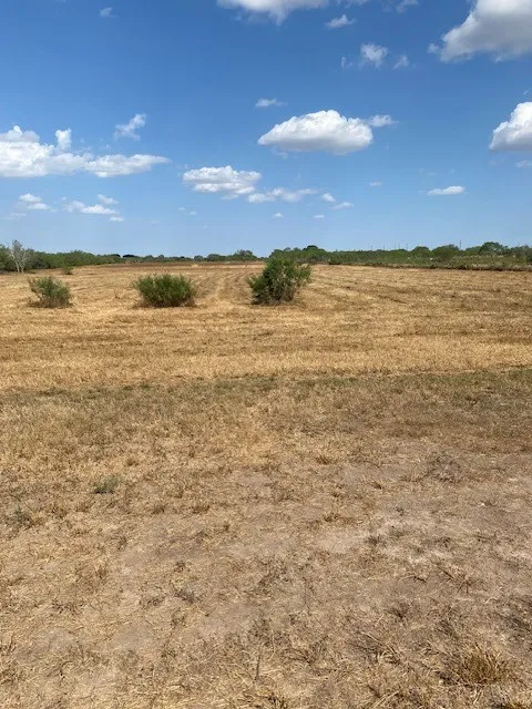 CR 150 Alice, TX 78733