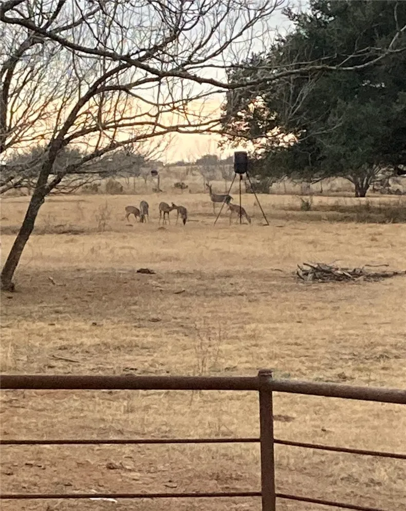 2831 County Road 430 Pleasanton, TX 78064