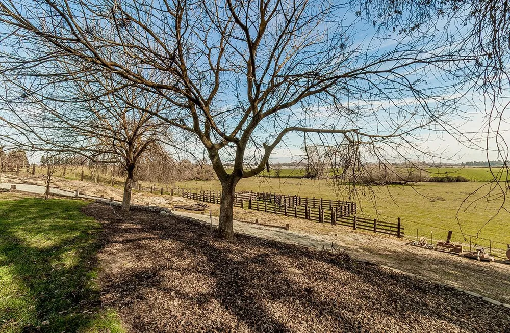 3670 S Newmark Avenue Sanger, CA 93654