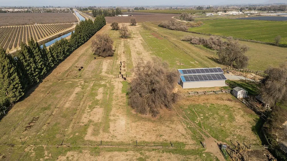 3670 S Newmark Avenue Sanger, CA 93654