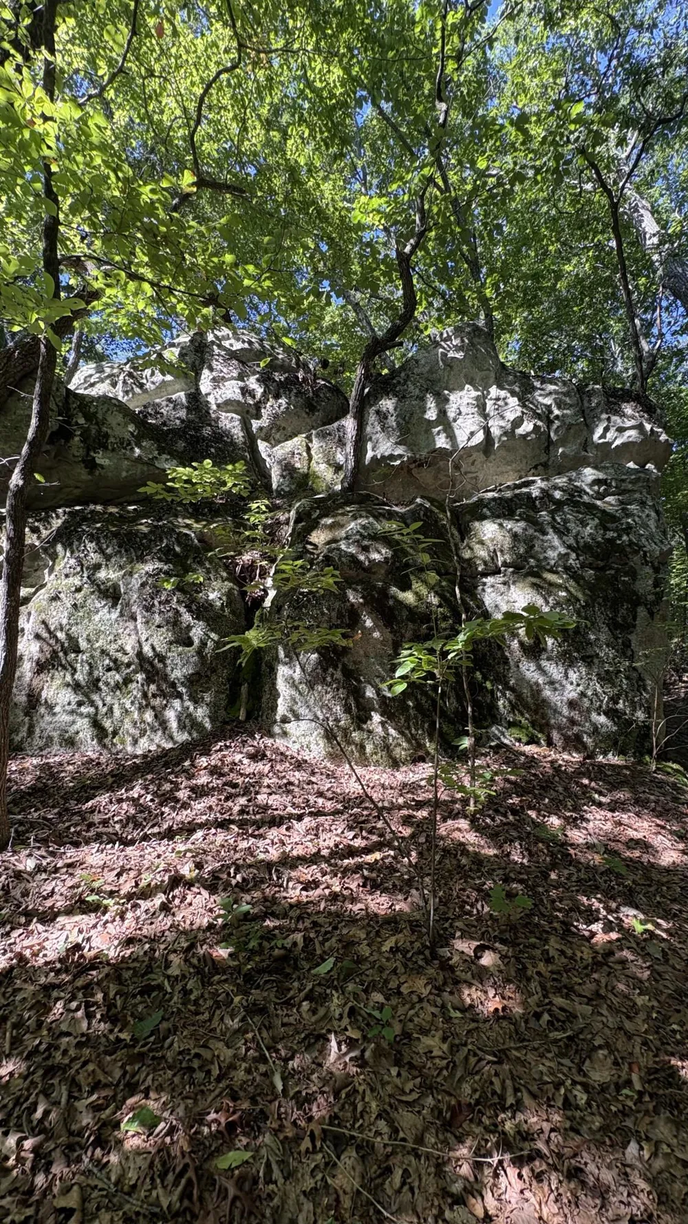 474 Mud Road Graysville, TN 37338