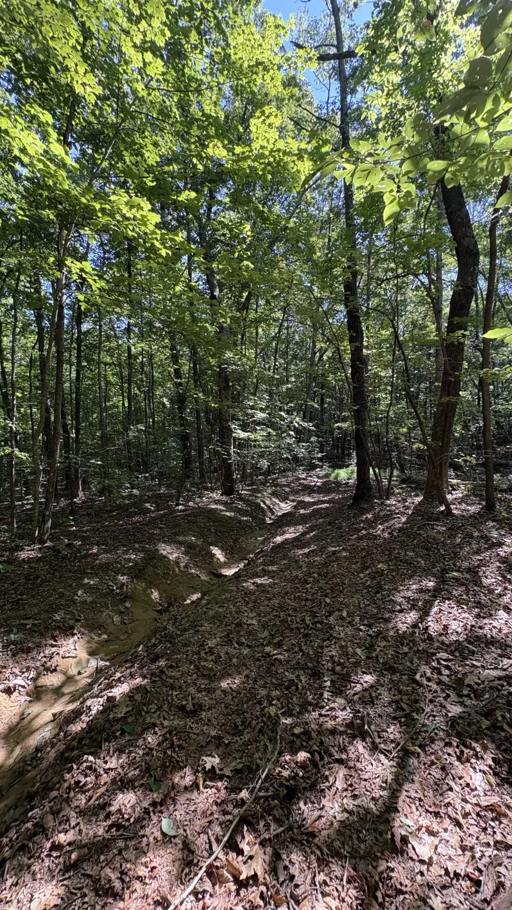 474 Mud Road Graysville, TN 37338
