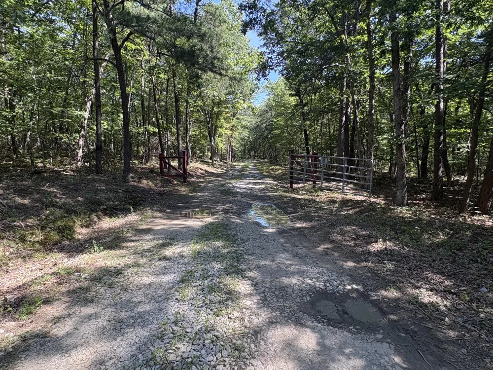 474 Mud Road Graysville, TN 37338