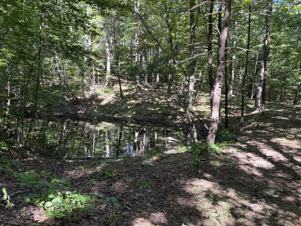 474 Mud Road Graysville, TN 37338