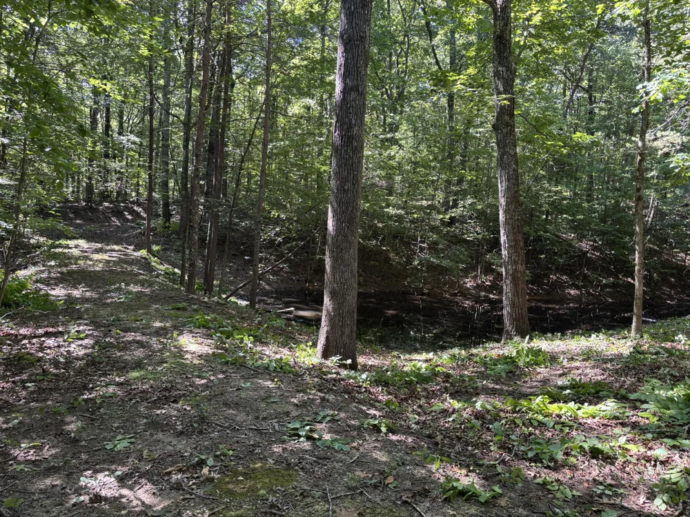 474 Mud Road Graysville, TN 37338