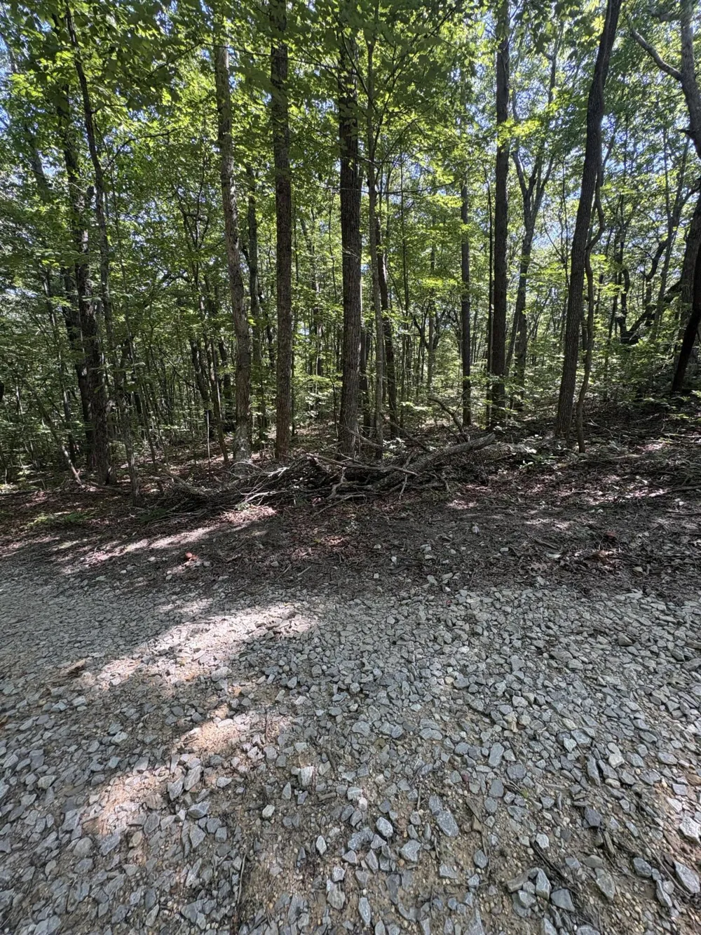 474 Mud Road Graysville, TN 37338