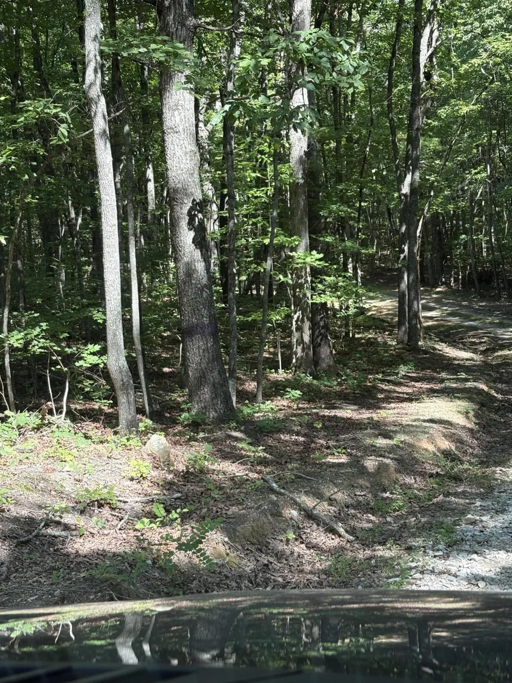 474 Mud Road Graysville, TN 37338
