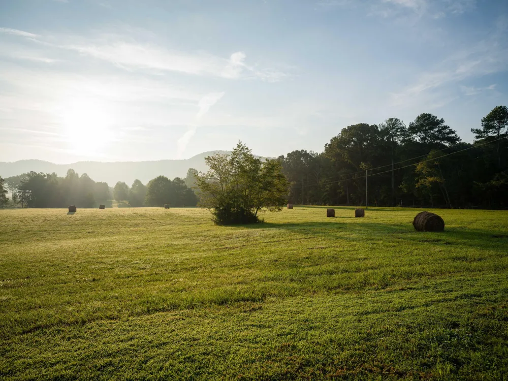 933 Halls Valley Road Trion, GA 30753
