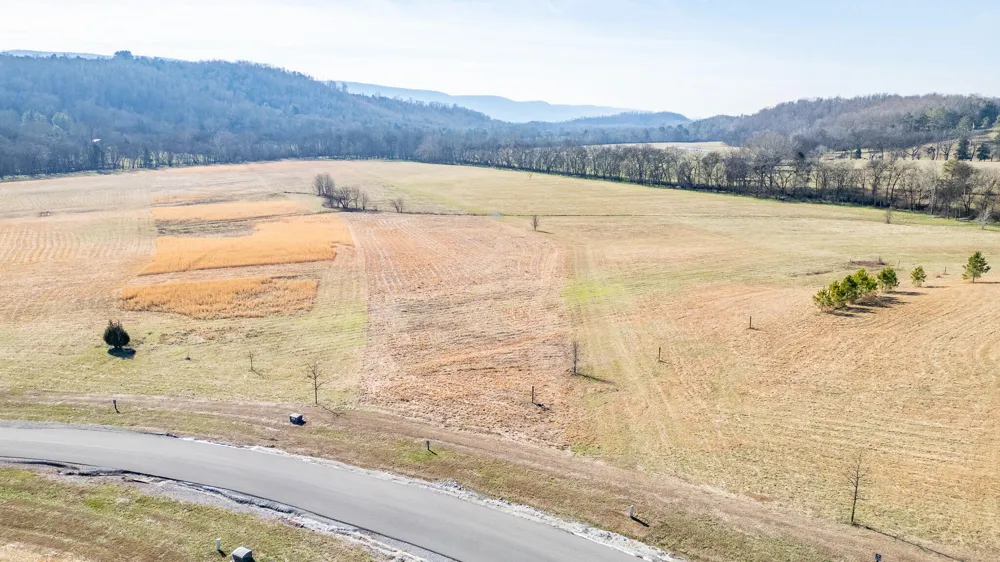 123 River Ridge Drive Dunlap, TN 37327