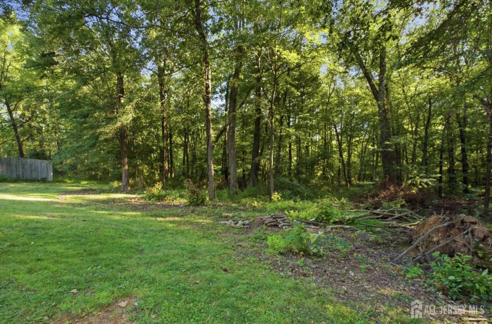 113 Oakdale Road Chester Bor, NJ 07930