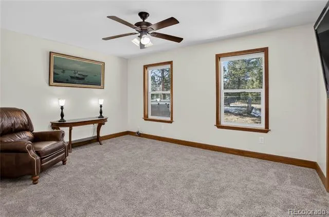 4797 County Road 42 Divide, CO 80814