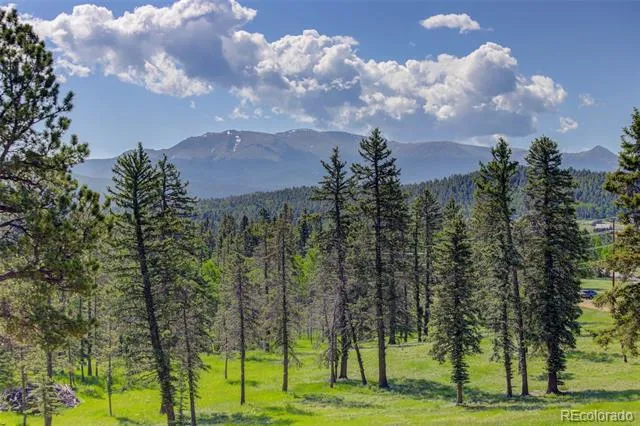 4797 County Road 42 Divide, CO 80814
