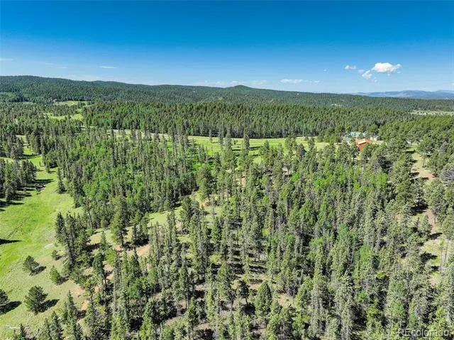 4797 County Road 42 Divide, CO 80814
