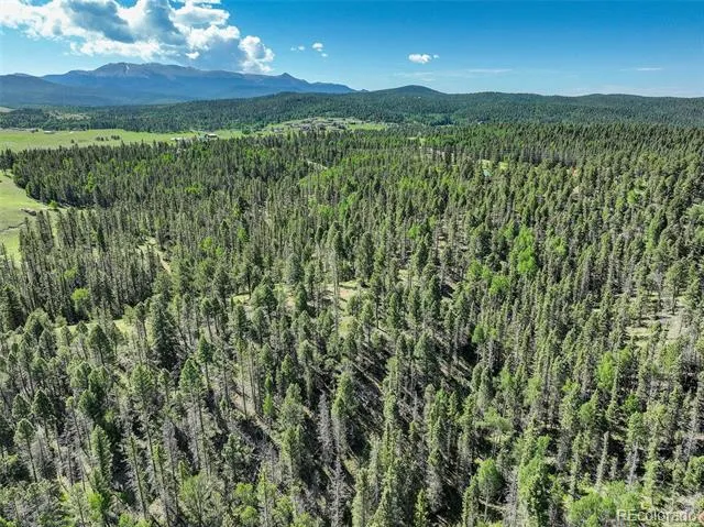 4797 County Road 42 Divide, CO 80814