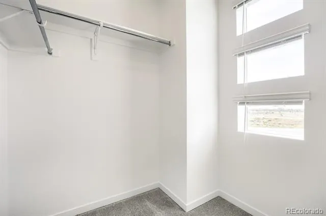 3031 Gladstone Avenue Loveland, CO 80538