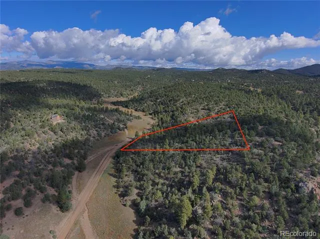 176 Arnold Drive Cotopaxi, CO 81223