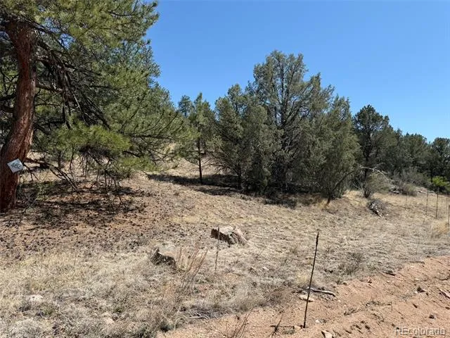 176 Arnold Drive Cotopaxi, CO 81223