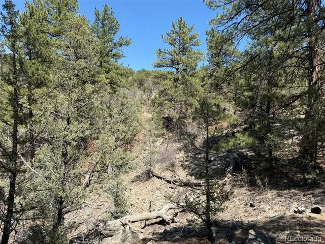 176 Arnold Drive Cotopaxi, CO 81223