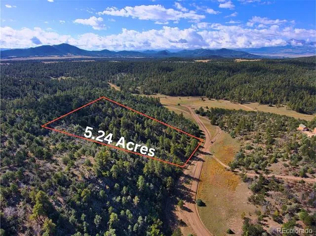 176 Arnold Drive Cotopaxi, CO 81223