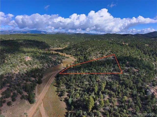 176 Arnold Drive Cotopaxi, CO 81223