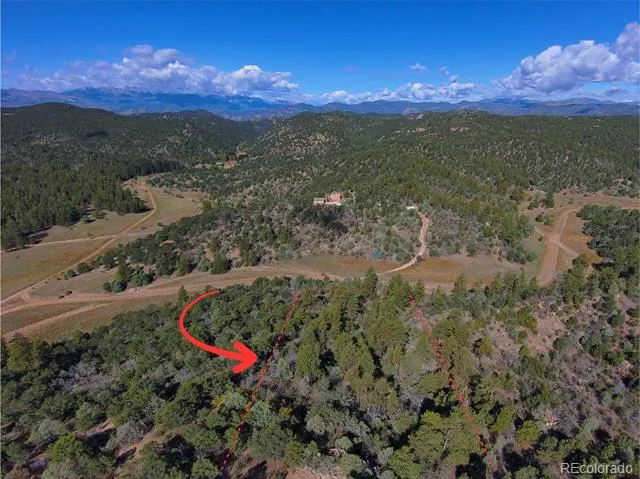 176 Arnold Drive Cotopaxi, CO 81223