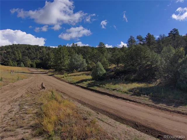 176 Arnold Drive Cotopaxi, CO 81223