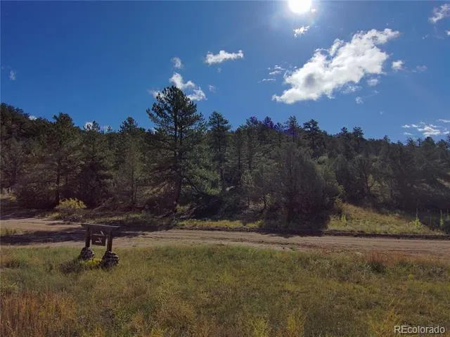 176 Arnold Drive Cotopaxi, CO 81223