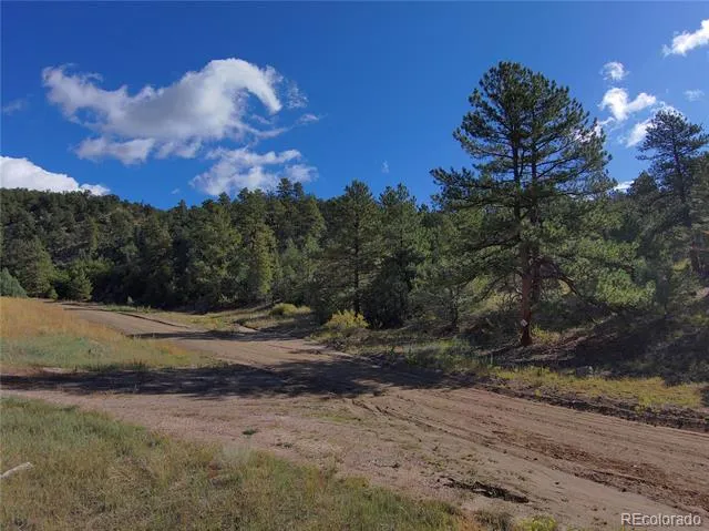 176 Arnold Drive Cotopaxi, CO 81223