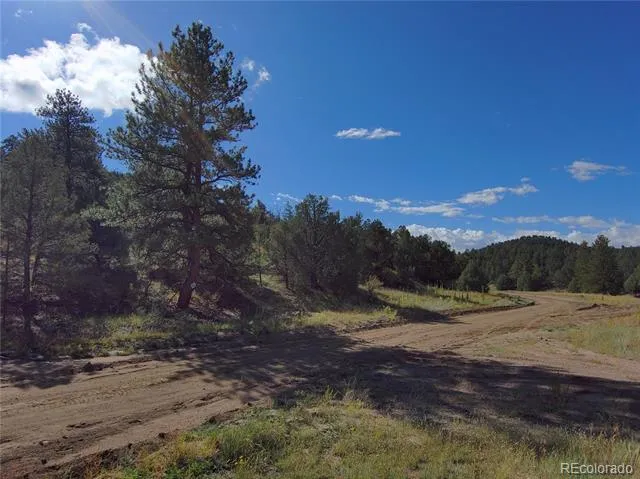 176 Arnold Drive Cotopaxi, CO 81223