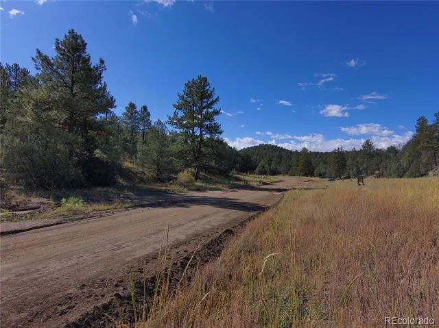 176 Arnold Drive Cotopaxi, CO 81223