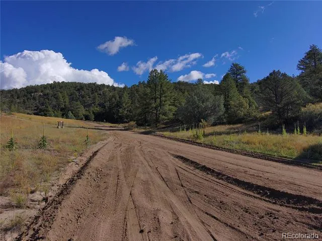 176 Arnold Drive Cotopaxi, CO 81223