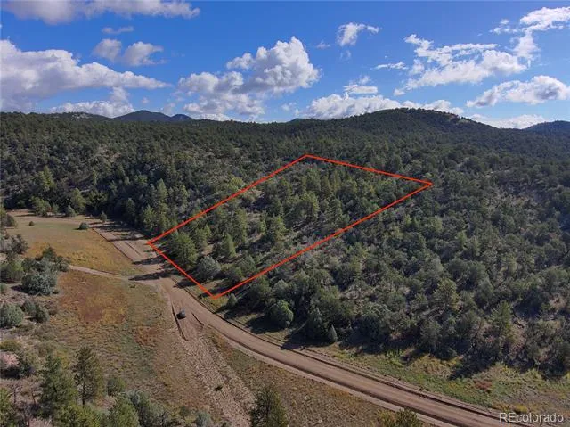176 Arnold Drive Cotopaxi, CO 81223