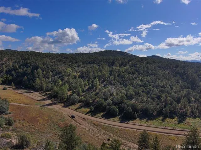 176 Arnold Drive Cotopaxi, CO 81223