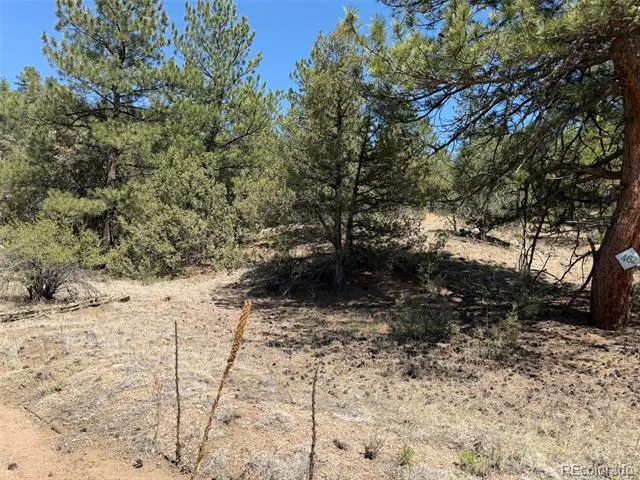 176 Arnold Drive Cotopaxi, CO 81223