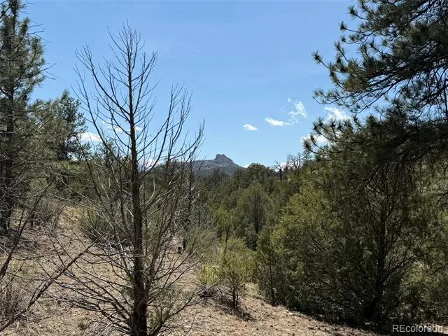176 Arnold Drive Cotopaxi, CO 81223