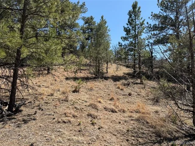 176 Arnold Drive Cotopaxi, CO 81223