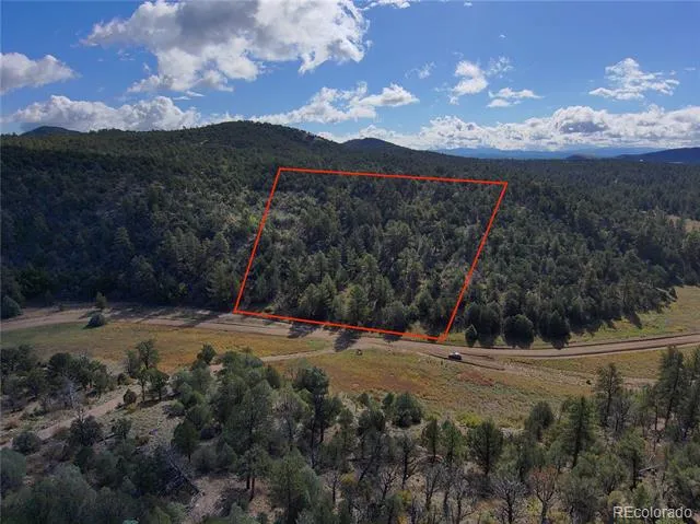 176 Arnold Drive Cotopaxi, CO 81223