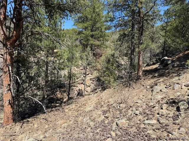 176 Arnold Drive Cotopaxi, CO 81223